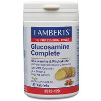 Lamberts Glucosamine Complete 120 Tabletten (NEU - vegan)