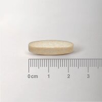 Lamberts Healthcare Garlic 8250mg (Knoblauch) 60 Tabletten (vegan)