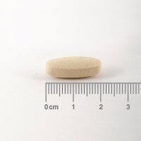 Lamberts Healthcare Vitamin C Time Release 500mg 100 Tabletten (vegan)